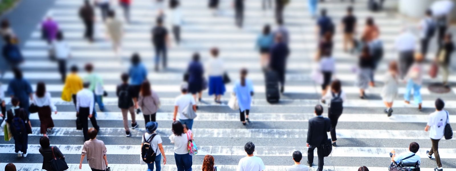 感謝を忘れず、和を育てる。